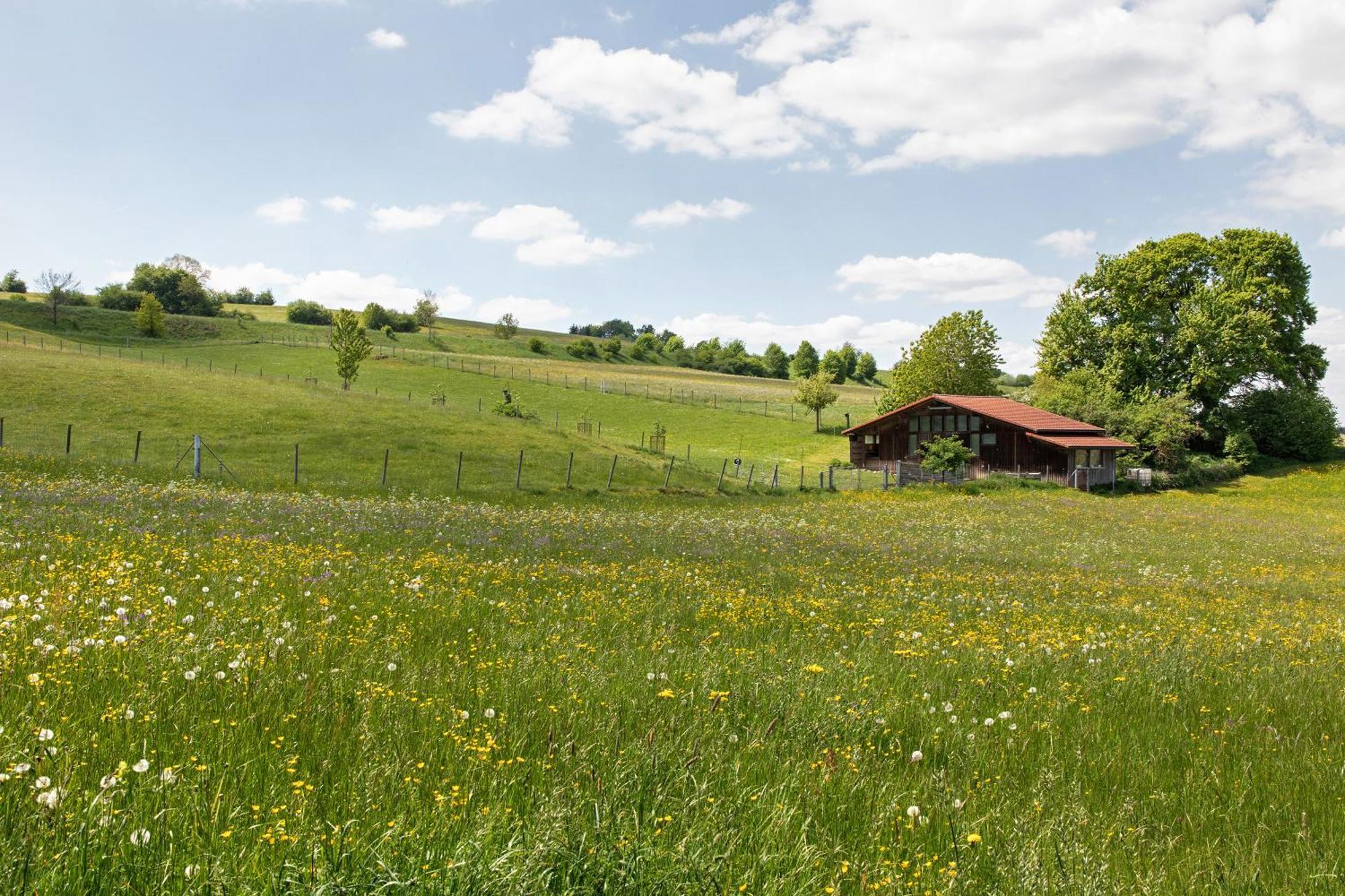 Ferienwohnung Emilia, 36Qm Münsingen Екстериор снимка